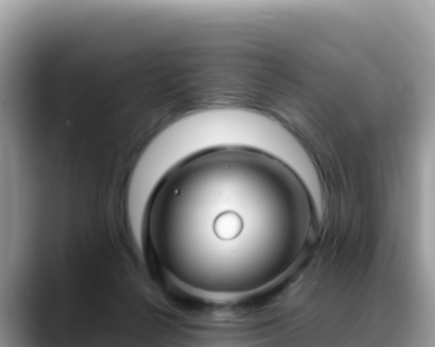 X0000088720264200706071626
