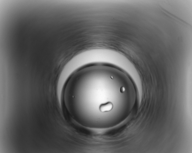 X0000088720268200706071626