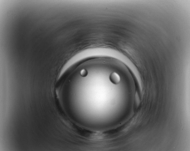 X0000088720269200706071626