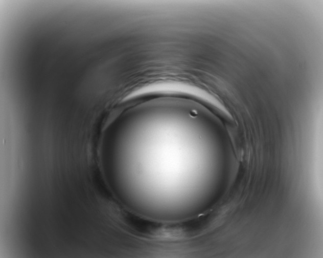 X0000088720270200706071626