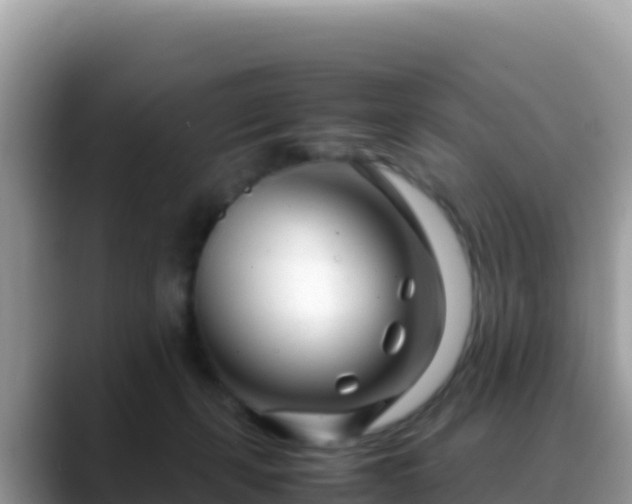 X0000088720271200706071626