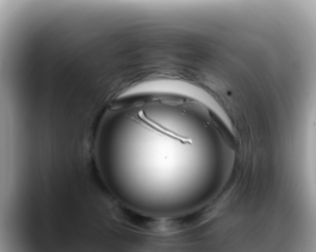 X0000088720273200706071626