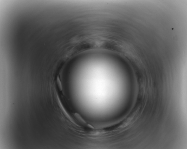 X0000088720274200706071626