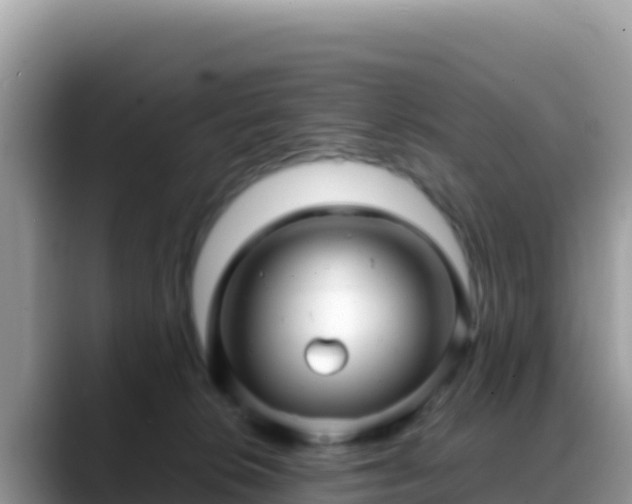 X0000088720276200706071626