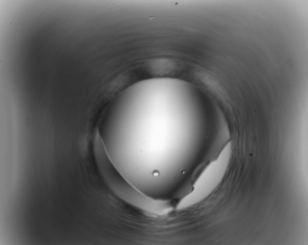 X0000088720277200706071626