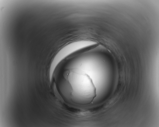 X0000088720278200706071626