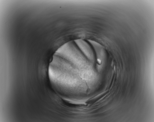 X0000088720279200706071626