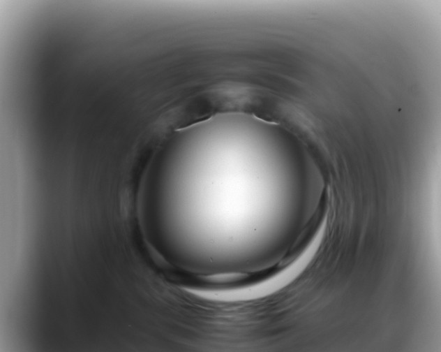 X0000088720283200706071626