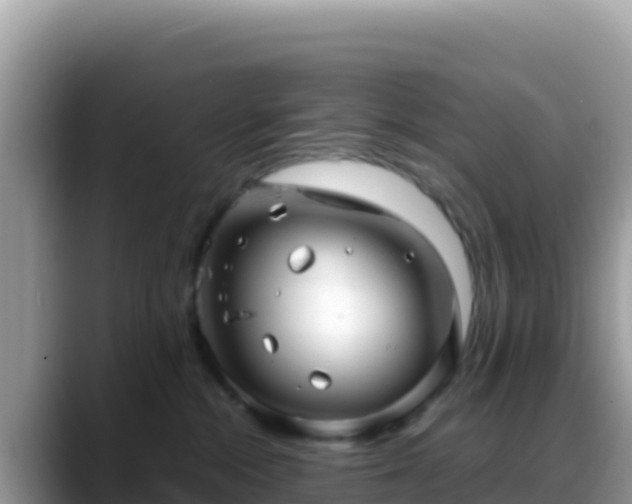 X0000088720284200706071626