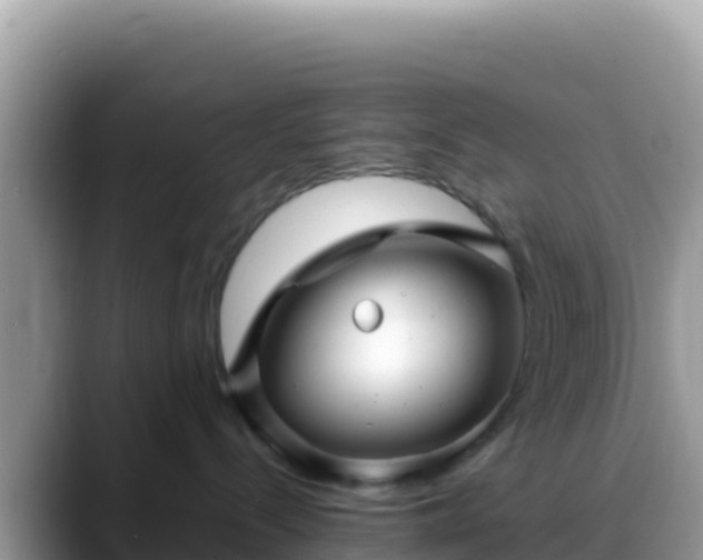 X0000088720288200706071626