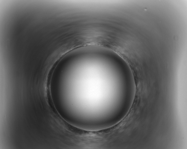 X0000088720290200706071625