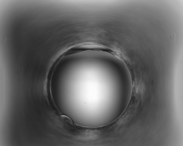 X0000088720292200706071625