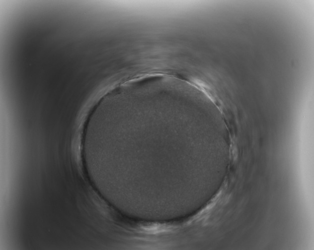 X0000088720293200706071625