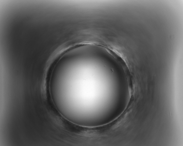 X0000088720296200706071625