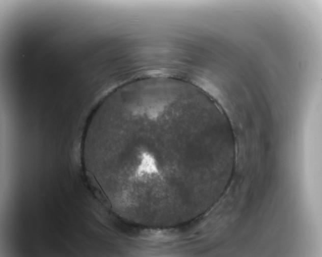X0000088720297200706071625
