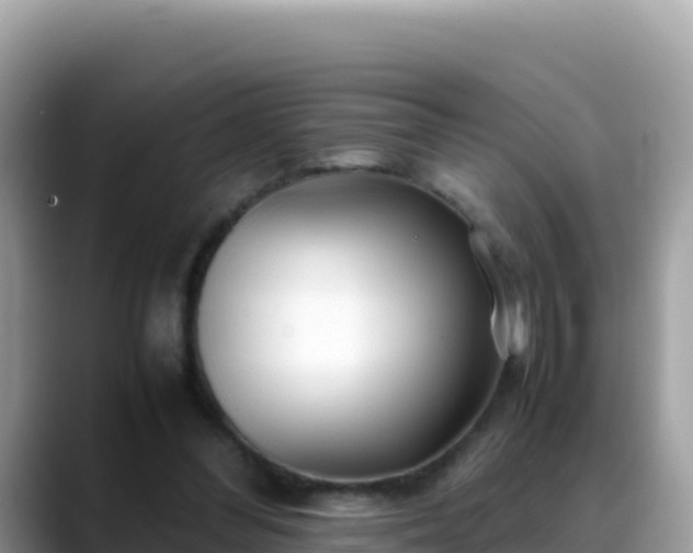 X0000088720300200706071625