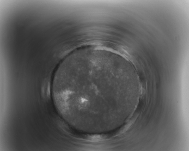 X0000088720301200706071625