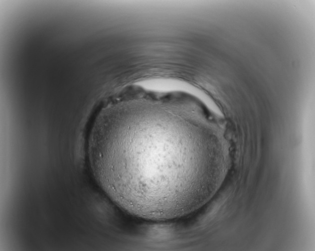 X0000088720303200706071625