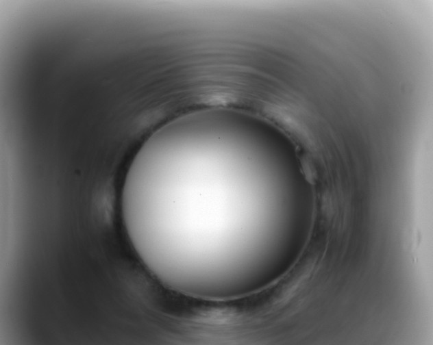 X0000088720304200706071625