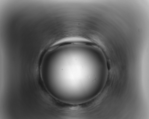 X0000088720306200706071625
