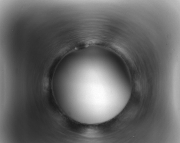X0000088720308200706071625