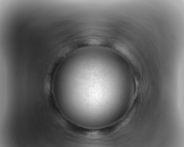 X0000088720309200706071625