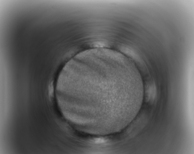 X0000088720310200706071625
