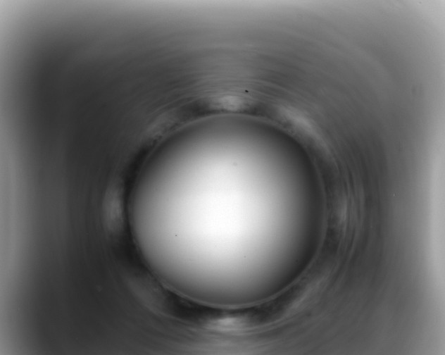 X0000088720312200706071625