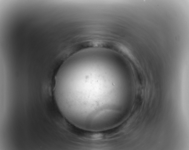 X0000088720313200706071625