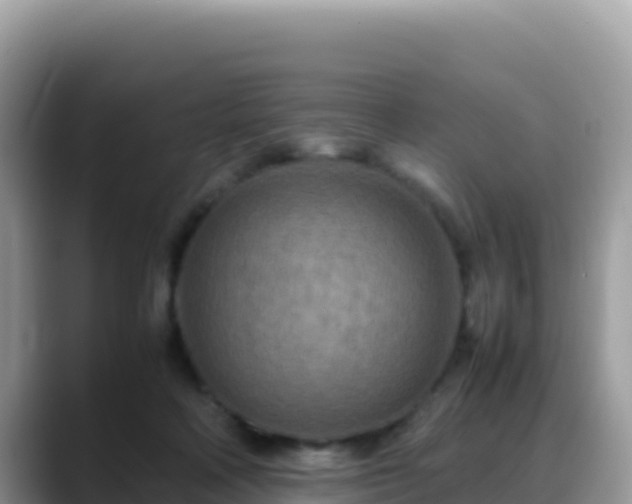 X0000088720314200706071625