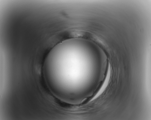 X0000088720315200706071625