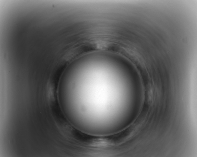 X0000088720316200706071625