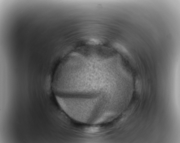 X0000088720318200706071625