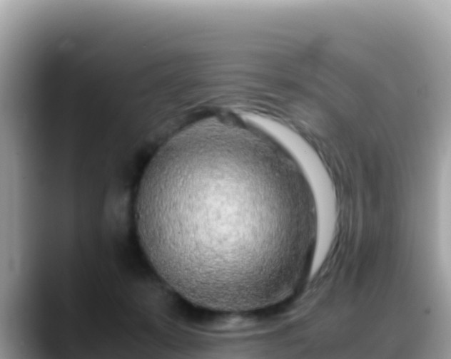 X0000088720319200706071625