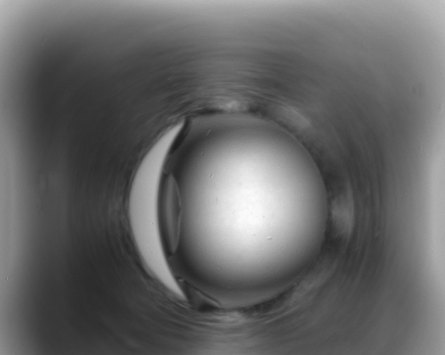 X0000088720322200706071625
