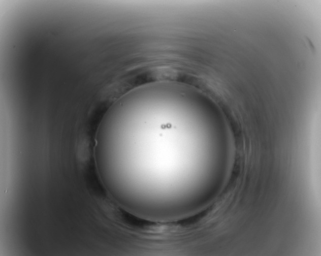 X0000088720323200706071625