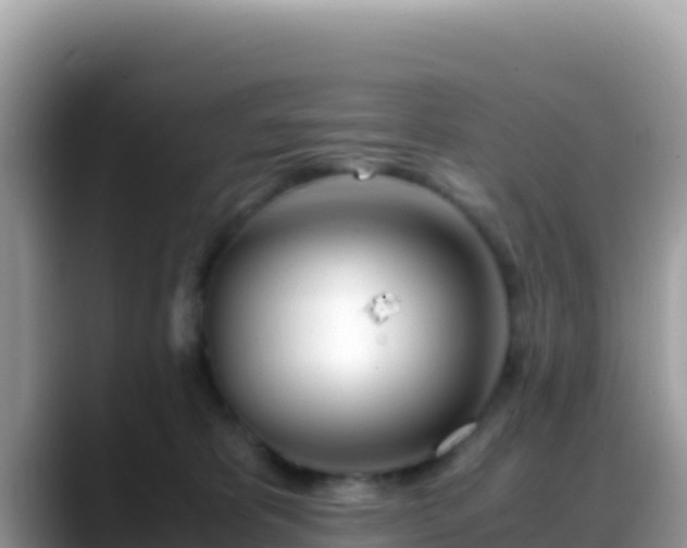 X0000088720325200706071625