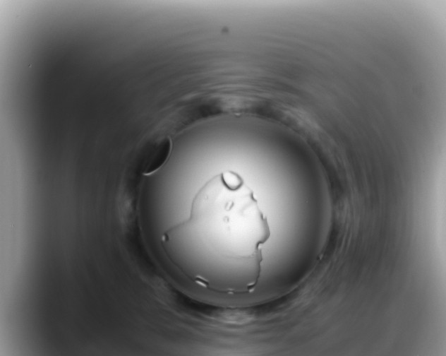 X0000088720327200706071625