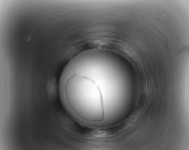 X0000088720328200706071625