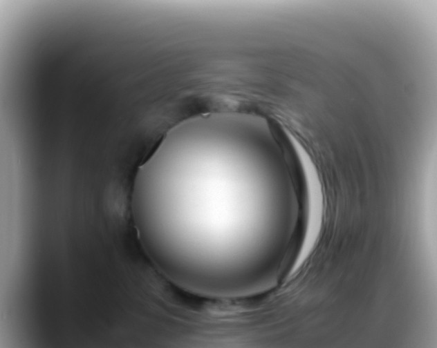 X0000088720331200706071625