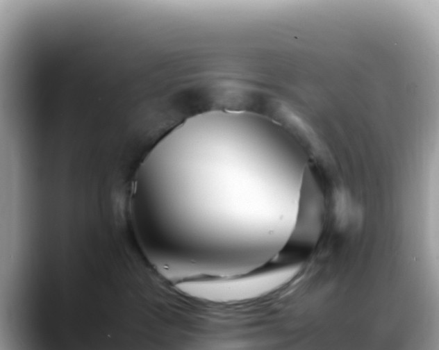 X0000088720333200706071625