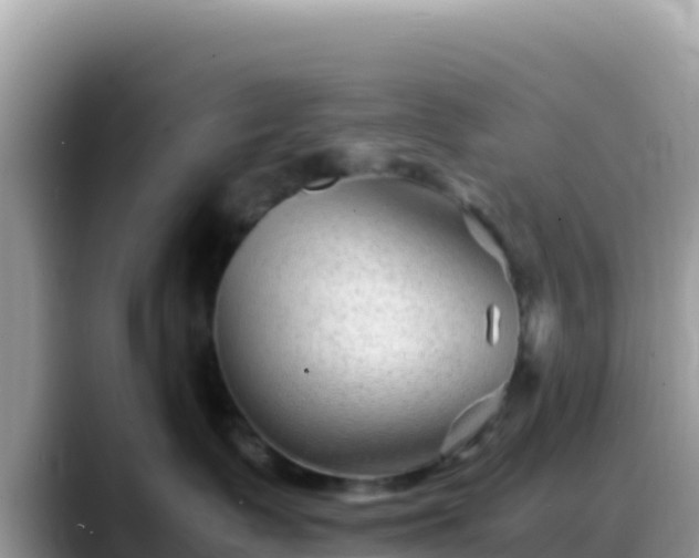 X0000088720335200706071625