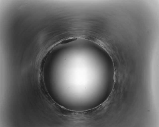 X0000088720338200706071624