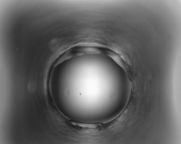 X0000088720340200706071624