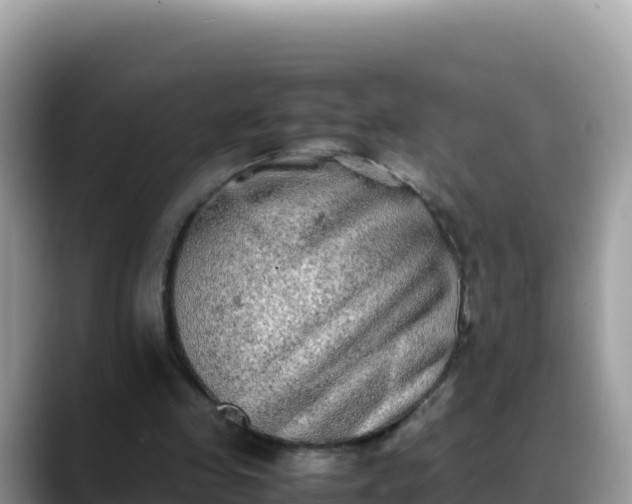 X0000088720341200706071624
