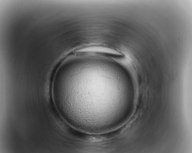 X0000088720346200706071624