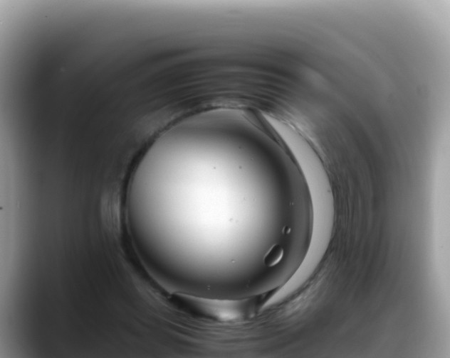 X0000088720349200706071624