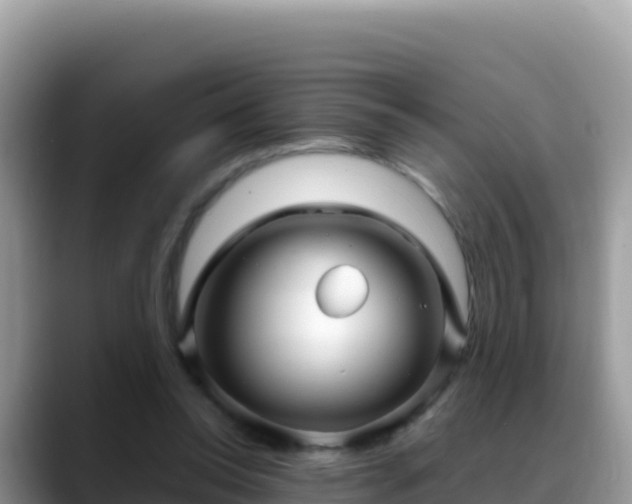 X0000088720350200706071624