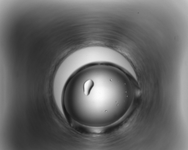 X0000088720352200706071624