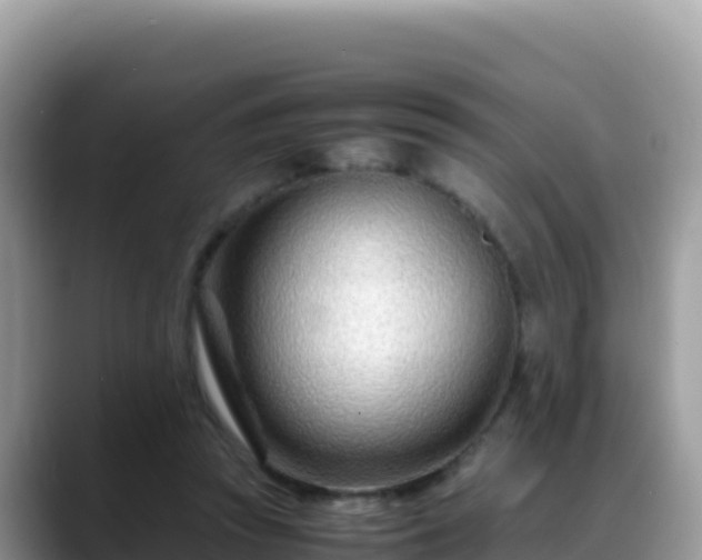 X0000088720353200706071624